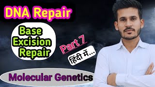 Base Excision Repair  Part 7  MSc CSIR NET GATE [upl. by Ainar663]