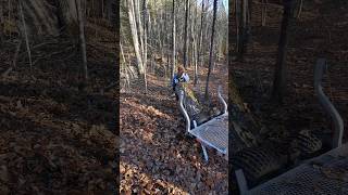 loaded the big maple logscanada treecutting wildlife northlife [upl. by Nuahs]