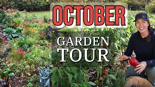 October 2023 Vegetable Garden Tour Zone 6 [upl. by Herbie]