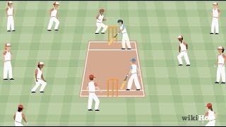 How to Play Cricket [upl. by Dyal416]