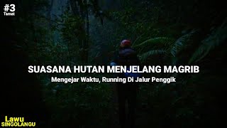 Pendakian GUNUNG LAWU via SINGOLANGU Suasana Hutan Lumut 3 [upl. by Ani834]