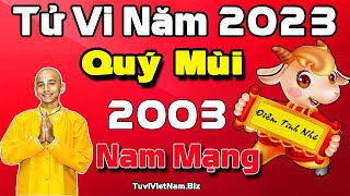 Xem tử vi tuổi Quý Mùi 2003 năm 2023 Nam mạng  Gặp nhiều khó khăn [upl. by Fineberg]