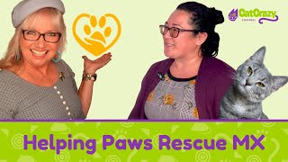 San Diego CFA Cat Show  Helping Paws Rescue MX [upl. by Anyl]