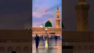 O madina mere mahbub kabeautifulnat viralvideo like subscribe [upl. by Lipman308]