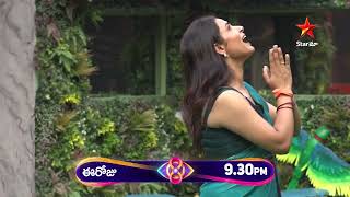 Bigg Boss Telugu 8  Day 64  Promo 1  Nomination Drama Begins 🔥 Nagarjuna  Star Maa [upl. by Aciram94]