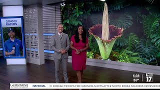 Corpse Flower Preview [upl. by Philps]