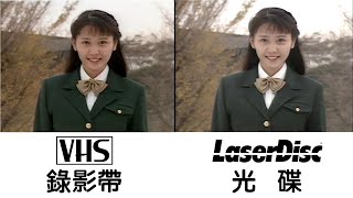 【Image quality demonstration】 VHS video tape compared to LD discNTSC [upl. by Wunder]