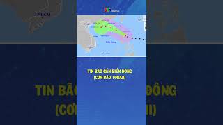 Tin bão gần biển đông cơn bão Toraji 11112024 [upl. by Denzil667]