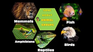 Song About Animal Groups for Children Animal Classification Vertebrates Sing and Learn Science [upl. by Eittol]