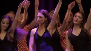 Espace Danse Sylvie CAVIER Lunel Best Of 2016 [upl. by Nihahs274]