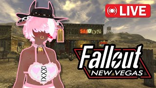 Time For More Adventures Across The Mojave  Becoming Stronger And More Lethal Fallout New Vegas [upl. by Dianthe651]