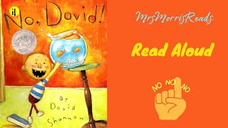 NO DAVID Read Aloud [upl. by Eibbed199]