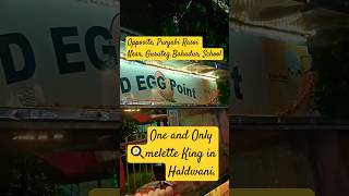 🍳melette King Haldwani  D Egg Point🥚 DEggPoint eggpoint eggrecipes foodvlog viral delicious [upl. by Atte987]