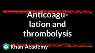 Anticoagulation and thrombolysis  Health amp Medicine  Khan Academy [upl. by Yeneffit880]