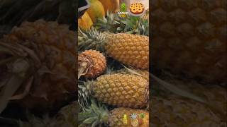 Secrets pour cultiver des ananas parfaits 🍍 – Astuces pour une récolte abondante [upl. by Season]