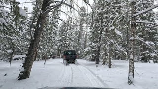 Leadville CO  UTV Tour [upl. by Pare428]