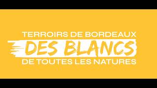 Vins de Bordeaux des vins BLANCS de toutes les natures [upl. by Klusek]