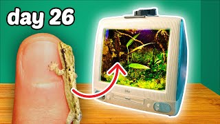 I Built a REAL Gecko Terrarium in an iMac [upl. by Charlie]