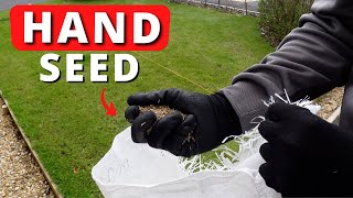 Cheapest Way To Overseed A Patchy Lawn  No Tools [upl. by Agace585]