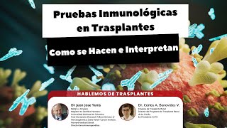 Pruebas Inmunológicas en Trasplantes como se hacen e interpretan [upl. by Aserahs747]