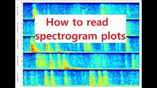 How to read Spectrogram plots  Best plots to generate are from the program SWARM [upl. by Lamont]