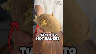 Have You Tried Potato Hot Sauce shorts [upl. by Knighton]