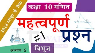 Class 10 Maths Chapter 6 Triangles Important Questions in Hindi Medium by Tiwari Sir [upl. by Abner]