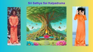 Sri Sathya Sai Kalpadruma Ashtotram 01 [upl. by Karna]