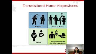 VaricellaZoster Virus VZVOne Pathogen with Multiple Clinical Manifestations [upl. by Cone]