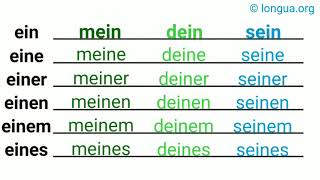 Artikel Nominativ Akkusativ Dativ Genitiv ein mein dein sein eine meine deine seine [upl. by Ariajaj]