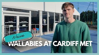 Wallabies at Cardiff Met [upl. by Kcirnek97]