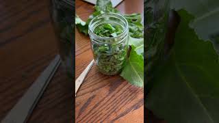 Wild Lettuce Tincture 🥬🥬😴😩 [upl. by Hayidah]