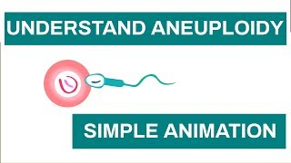 Aneuploidy in Humans Chromosome anomalies  Learn about Aneuploidy with This Simple Animation [upl. by Anselmo]