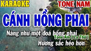 Karaoke Cánh Hồng Phai Tone Nam  Karaoke Beat  84 [upl. by Swehttam]