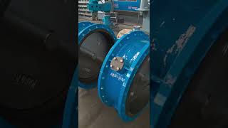 Center line butterfly valve assembly [upl. by Healion189]