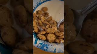 Taste Test Chips Ahoy Cereal [upl. by Vish]