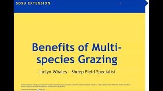 Multi species grazing and targeted grazing with sheep and goats [upl. by Asli]