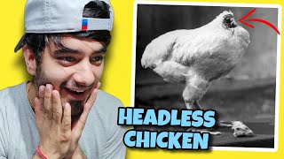 A Headless Chicken 😱  WEIRD RANDOM FACTS THAT WILL SHOCK YOU [upl. by Hada97]