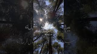 Rehman ya Rehman by Mishary Rashid naat naatsharif islamicshorts shortsvideo [upl. by Satterfield]