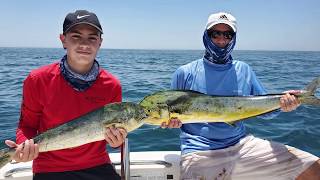 Miami Mahi Mahi Dolpin Dorado Offshore fishing Robalo r180 [upl. by Ahsyek]