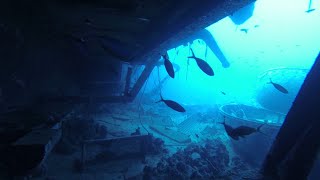 Underwater shipwreck exploration  Salem Express part 2 [upl. by Sausa]