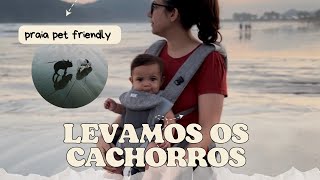 DESCOBRIMOS UMA PRAIA PET FRIENDLY EM SÃO PAULO BERTIOGA VLOG [upl. by Hitchcock]