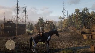 Red Dead Redemption 2  Limpany 2 gold bar glitch in Nov 2024 [upl. by Cross907]