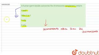 In human sperm besides autosomes the chromosomes complement contains  12  CHROMOSOMAL BASIS O [upl. by Eecak]