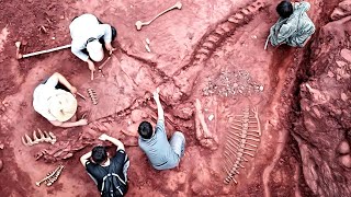 Paleontologists Amazed By Latest Dinosaur Fossil Finds [upl. by Adalheid]