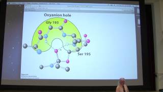 12 Kevin Aherns Biochemistry  Enzyme Mechanisms [upl. by Zerdna967]