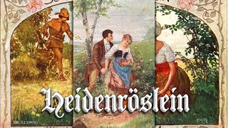 Heidenröslein German folk songEnglish translation [upl. by Aliuqehs]