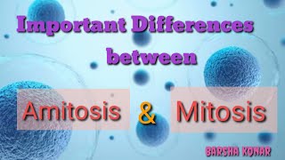 Difference between amitosis and mitosis Cell Division biology and career [upl. by Horacio]