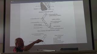 Neuroanatomy 68  Internal capsule   by Dr Wahdan [upl. by Atil]