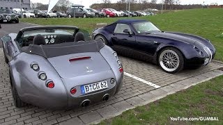 Wiesmann MF4 MF4S Roadster  Driving Sounds [upl. by Coady]